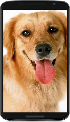 dog wallpaper - Image screenshot of android app