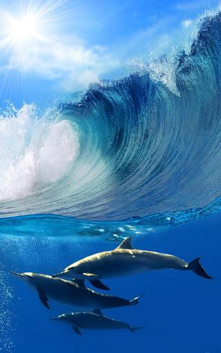 Dolphins Live Wallpaper - Image screenshot of android app