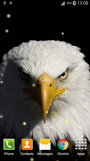 Eagle Live Wallpaper HD - عکس برنامه موبایلی اندروید