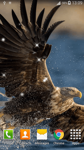 Eagle Live Wallpaper HD - Image screenshot of android app