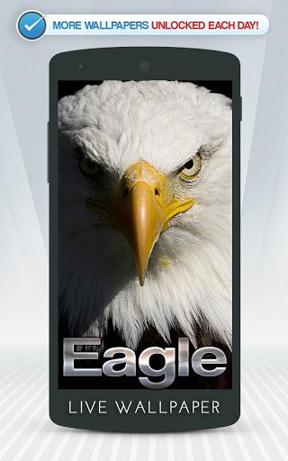 Eagle Live Wallpaper - Image screenshot of android app