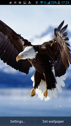 Eagle Live Wallpaper - Image screenshot of android app