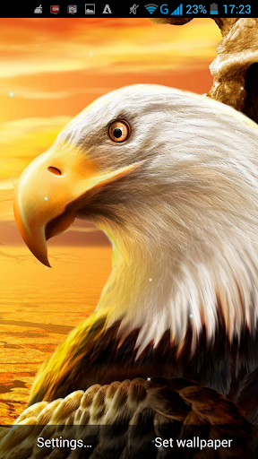 Eagle Live Wallpaper - عکس برنامه موبایلی اندروید