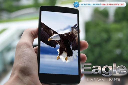 Eagle Live Wallpaper - عکس برنامه موبایلی اندروید