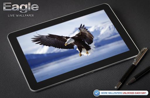 Eagle Live Wallpaper - عکس برنامه موبایلی اندروید