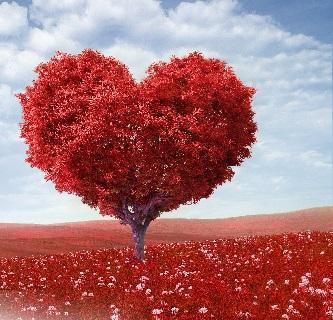 SMS D'amour en Français - عکس برنامه موبایلی اندروید