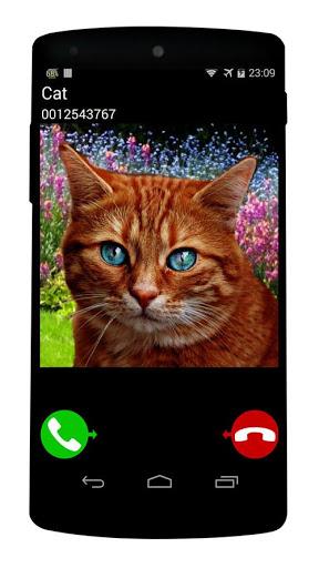 fake call cat game - Gameplay image of android game
