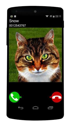 fake call cat game - Gameplay image of android game