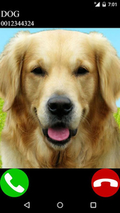 fake call dog game - عکس بازی موبایلی اندروید
