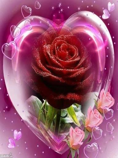 Flowers Images Gif - Image screenshot of android app