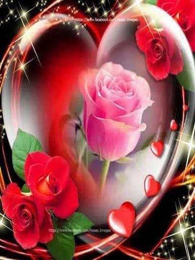 Flowers Images Gif - Image screenshot of android app
