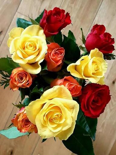 Flowers Images Gif - Image screenshot of android app