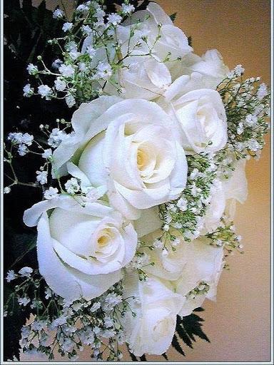 Flowers Images Gif - Image screenshot of android app