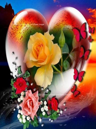 Flowers Images Gif - Image screenshot of android app