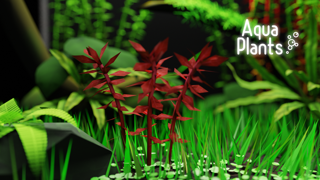 AquaPlants - عکس بازی موبایلی اندروید