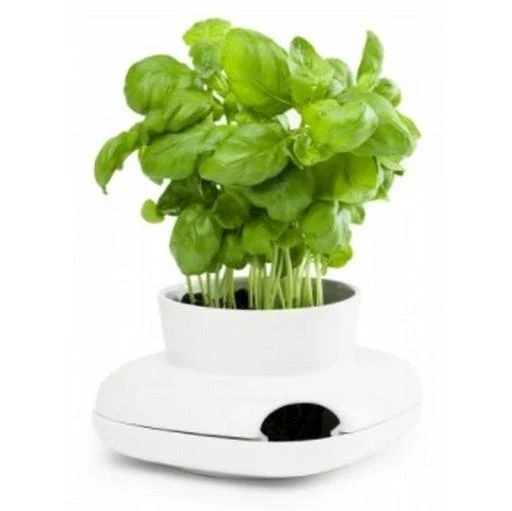 Flower Pot Design - Image screenshot of android app