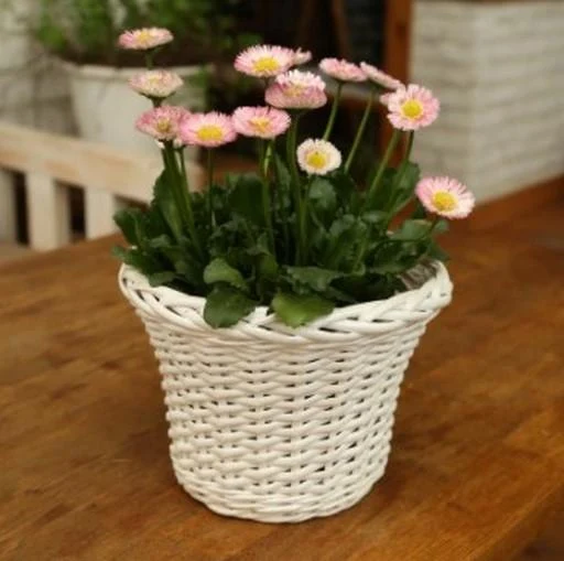 Flower Pot Design - Image screenshot of android app