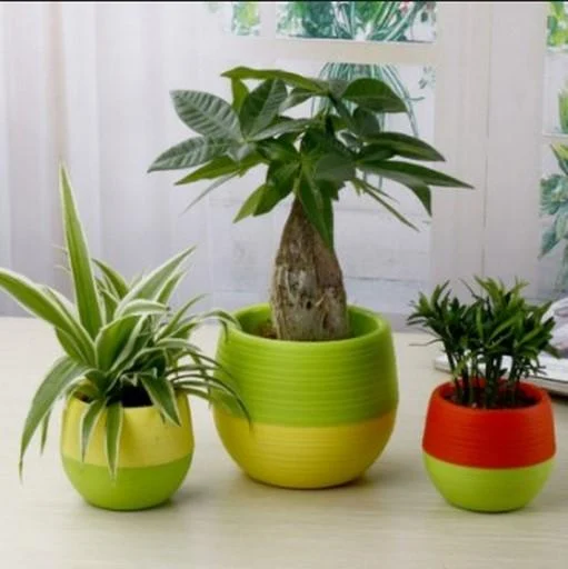 Flower Pot Design - Image screenshot of android app