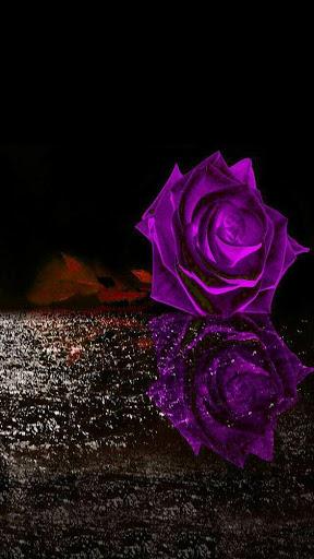 Flowers and Roses Images Wallpaper Gif 4K - Image screenshot of android app