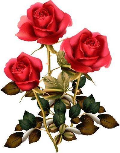 Flowers and Roses Images Wallpaper Gif 4K - Image screenshot of android app