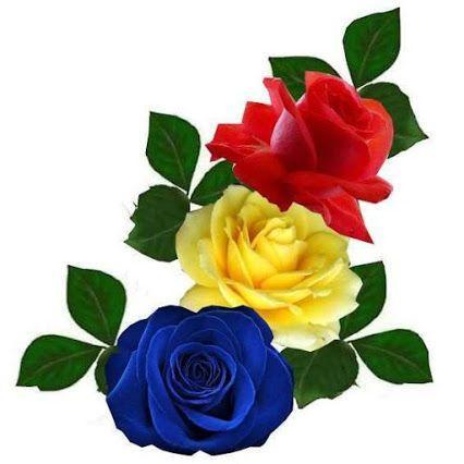 Flowers and Roses Images Wallpaper Gif 4K - Image screenshot of android app