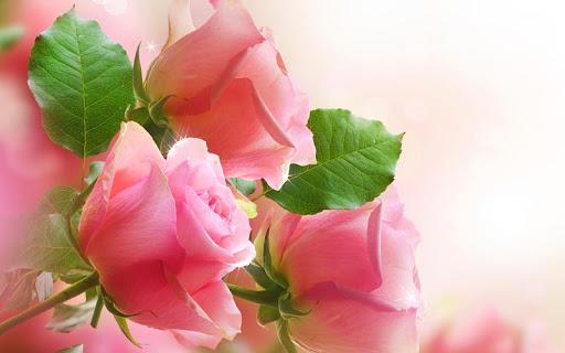 Flowers Live Wallpaper - Image screenshot of android app
