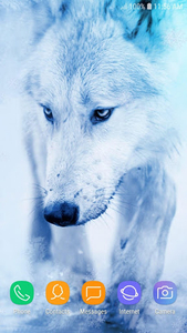 Ice Wolf Wallpapers - Wallpaper Cave