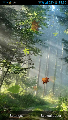 Forest Live Wallpaper - Image screenshot of android app