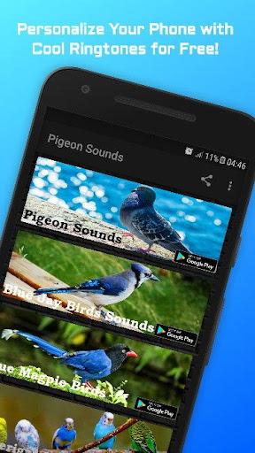 Duck Sounds - Image screenshot of android app