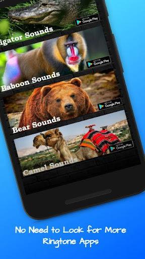 Rat Sounds - Image screenshot of android app