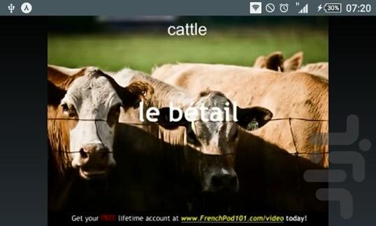 آموزش لغات روزمره فرانسوی - Image screenshot of android app
