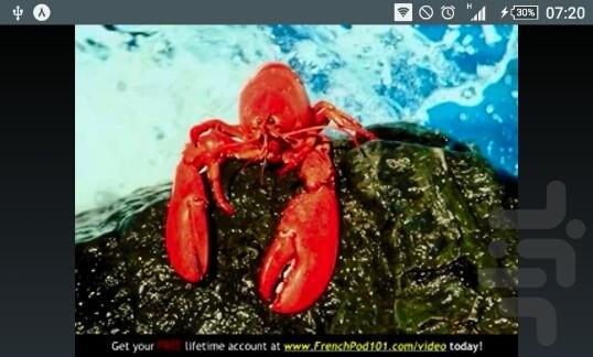 آموزش لغات روزمره فرانسوی - Image screenshot of android app