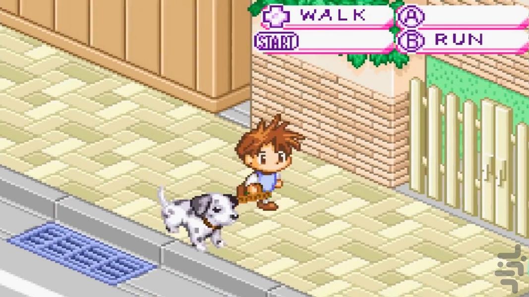 Dogz advance - Gameplay image of android game