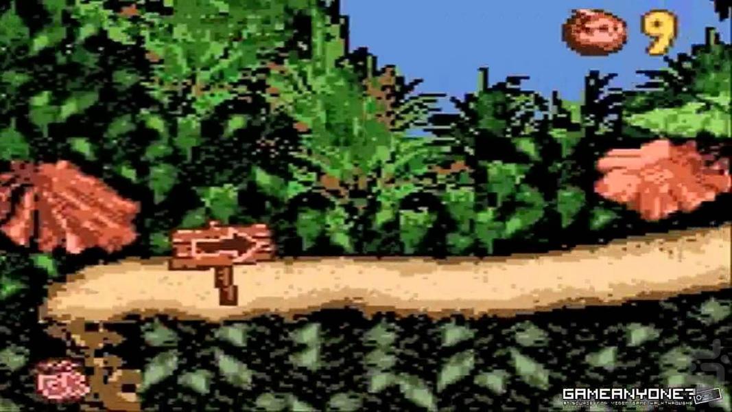 donkey kong country - Gameplay image of android game