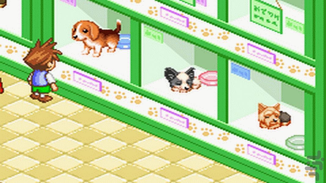 پیشرفت داگز - عکس بازی موبایلی اندروید