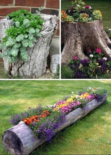 DIY Garden Ideas - Image screenshot of android app