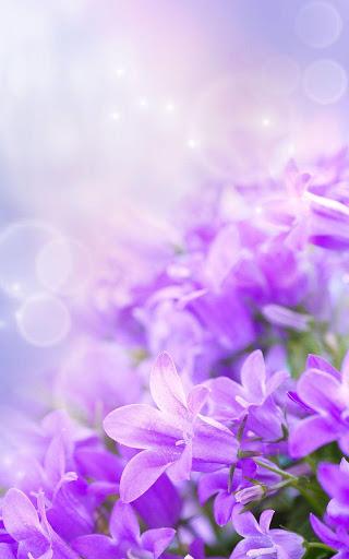 Gentle Flowers Live Wallpaper - عکس برنامه موبایلی اندروید