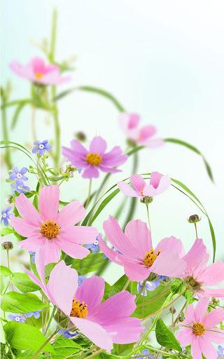 Gentle Flowers Live Wallpaper - عکس برنامه موبایلی اندروید