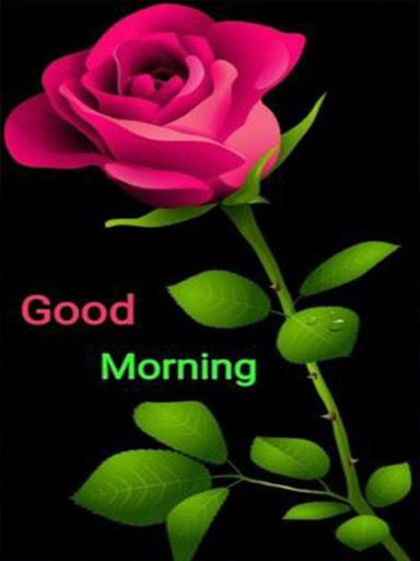 Good Morning Flowers Images GIF - عکس برنامه موبایلی اندروید