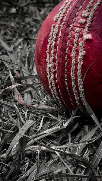 Cricket Wallpapers - عکس برنامه موبایلی اندروید