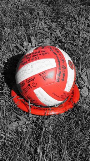 Volleyball Wallpaper 4K - Image screenshot of android app