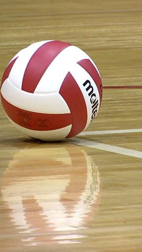 Volleyball Wallpaper 4K - Image screenshot of android app