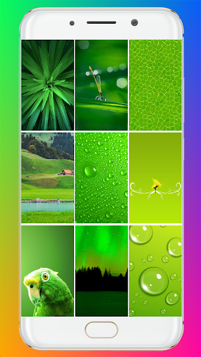 Green Wallpaper HD - Image screenshot of android app