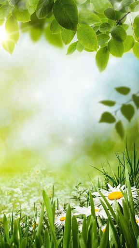 Green Spring Live Wallpaper - Image screenshot of android app