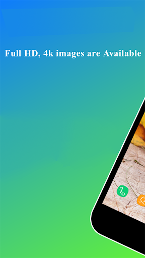 Guinea Pig Wallpaper - Image screenshot of android app