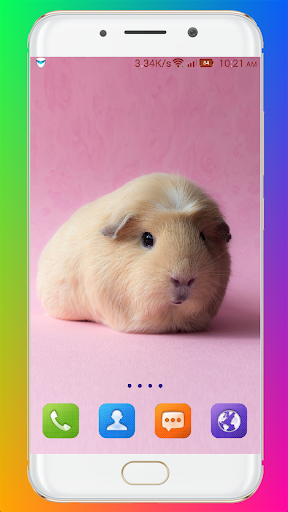 Guinea Pig Wallpaper - عکس برنامه موبایلی اندروید