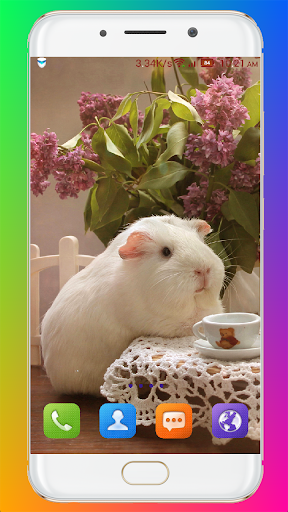Guinea Pig Wallpaper - عکس برنامه موبایلی اندروید