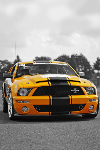 Car Vehicle Ford Outdoors Ford Mustang Ford Mustang GT 350 Silver Cars  Numbers Plants Landscape Wallpaper - Resolution:5120x3413 - ID:1291789 -  wallha.com