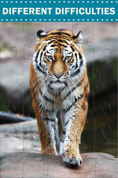 Wild Animals Jigsaw Puzzles - Gameplay image of android game