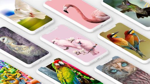 Bird Wallpaper HD - عکس برنامه موبایلی اندروید
